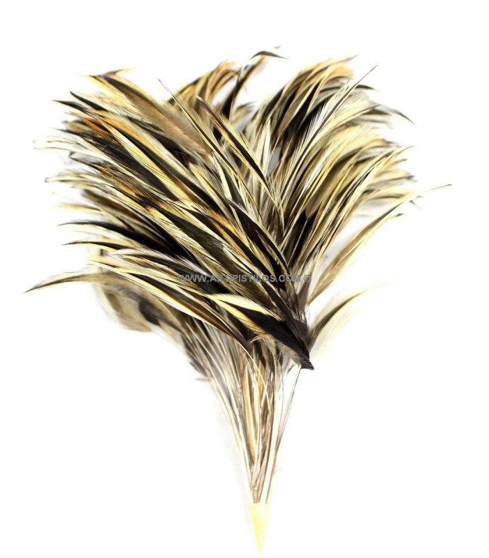 MONTAGE PLUMES DE COQ