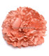 PIVOINE TISSU 17 CM