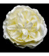 RANUNCULUS EN TISSU 8 CM