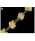 TIRA FLORES DE TUL 1 mt x 6 cm