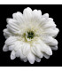Marguerite en tissu 6,5 cm