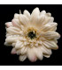 Marguerite en tissu 6,5 cm