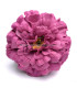 Zinnia en tissu 8.5 CM