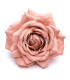 Rosse en Tissu "Royal" 10.5 CM