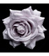 Rosse en Tissu "Royal" 10.5 CM