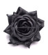 Rosse en Tissu "Royal" 10.5 CM