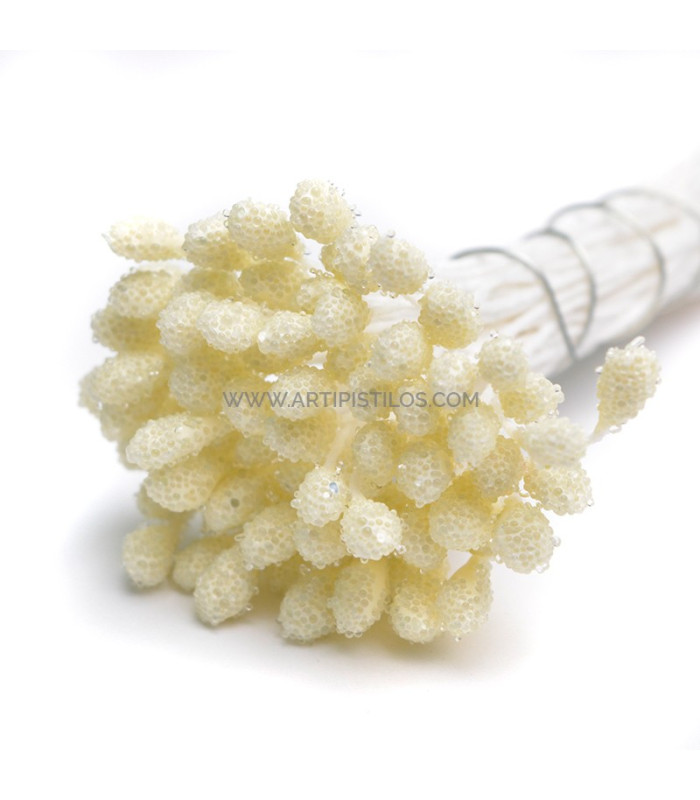 PISTILS GRANULES 80 unités Tige en fil de coton