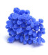 PISTILS GRANULES 80 unités Tige en fil de coton