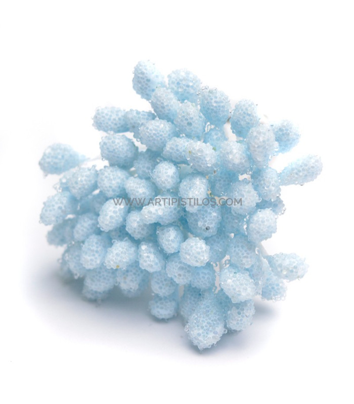 PISTILS GRANULES 80 unités Tige en fil de coton