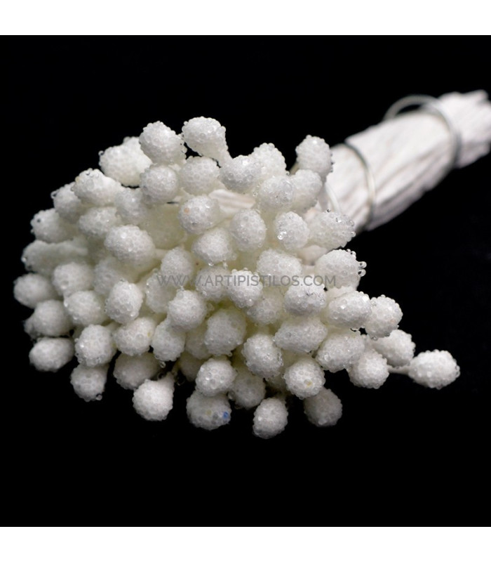 PISTILS GRANULES 80 unités Tige en fil de coton