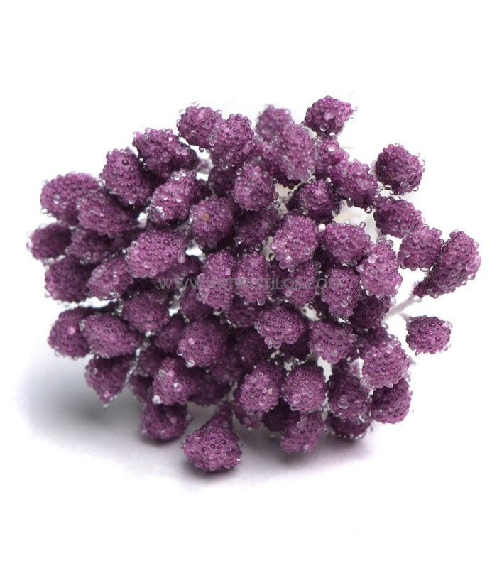 PISTILS GRANULES 80 unités Tige en fil de coton