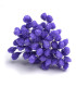 PISTILS GRANULES 80 unités Tige en fil de coton