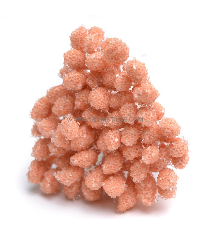 PISTILS GRANULES 80 unités Tige en fil de coton