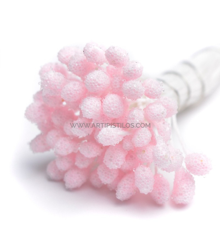 PISTILS GRANULES 80 unités Tige en fil de coton
