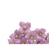 FLEUR DE PORCELAINE FRAISE 2 CM