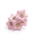 FLEUR DE PORCELAINE FRAISE 3 CM