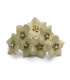 FLEUR DE PORCELAINE FRAISE 3 CM