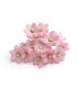 FLEUR DE PORCELAINE DE COULEUR 2,4 CM