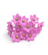 FLEUR DE PORCELAINE DE COULEUR 2,4 CM