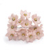 FLEUR DE PORCELAINE DE COULEUR 2,4 CM