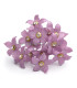 FLEUR DE PORCELAINE DE COULEUR 2,7 CM