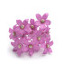 FLEUR DE PORCELAINE DE COULEUR 2,7 CM