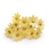 FLEUR DE PORCELAINE FROIDE 2.1 CM