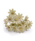 FLEUR DE PORCELAINE FROIDE 2.1 CM