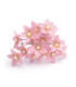 FLEUR DE PORCELAINE FROIDE 1,8 CM
