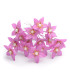 FLEUR DE PORCELAINE FROIDE 1,8 CM