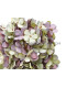 TISSU HORTENSIA
