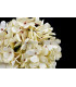 TISSU HORTENSIA