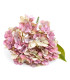 TISSU HORTENSIA