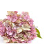 TISSU HORTENSIA