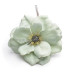 TISSU ANEMONE