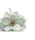 TISSU ANEMONE