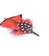 ornement de plumes pour chapeau - 12 models