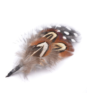 Ornements en plumes pour chapeaux / 12 modèles
