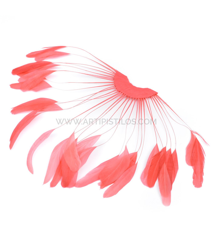 plumes de coq 1ère qualité.