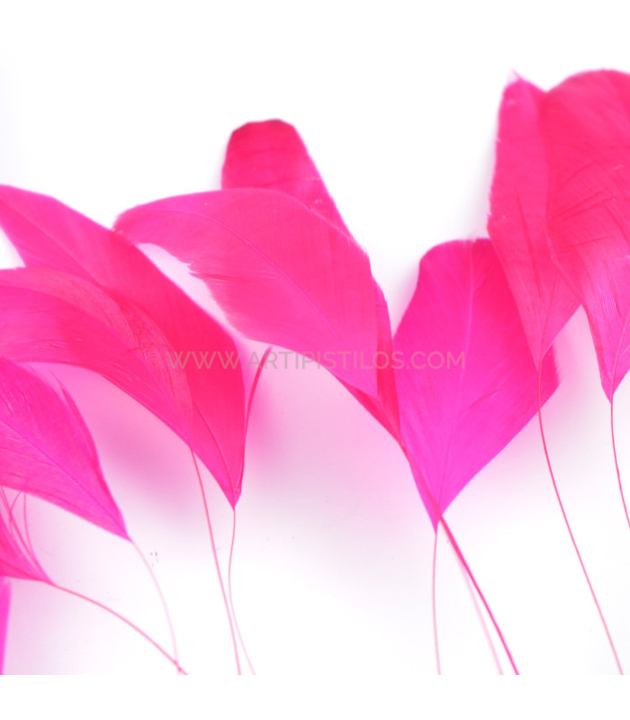 plumes de coq 1ère qualité.