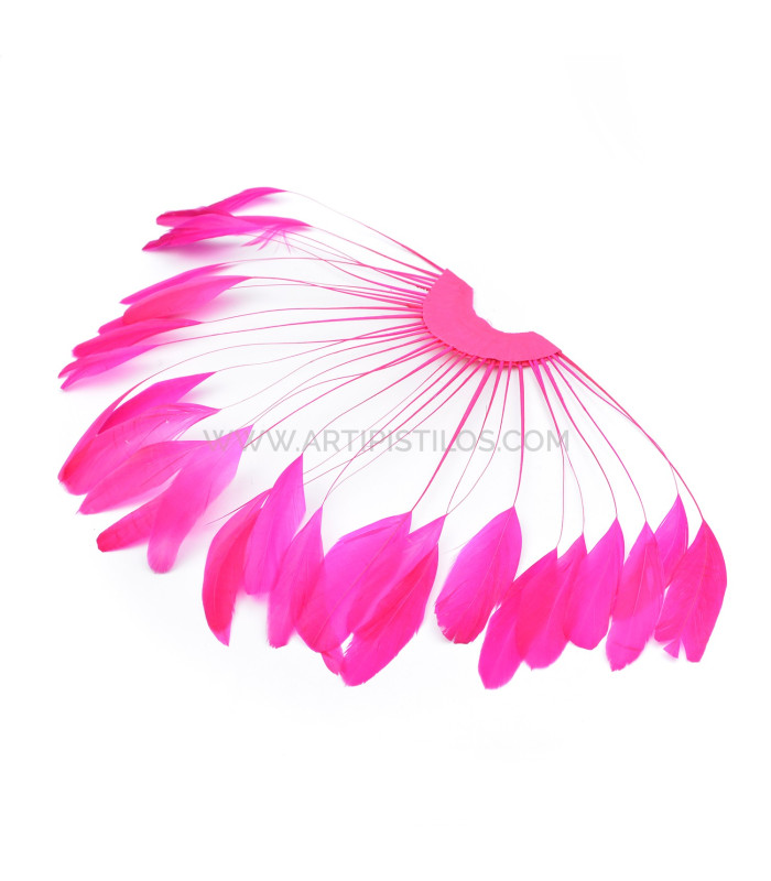 plumes de coq 1ère qualité.