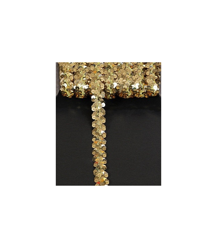 GALON PAILLETTES