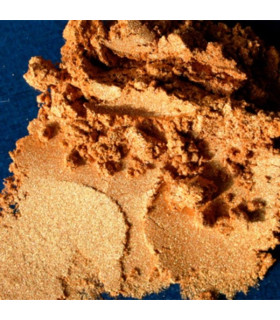 Colortricx Or Riche 16 g