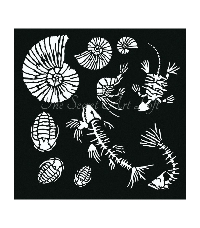 FOSSIL STENCIL 30X30