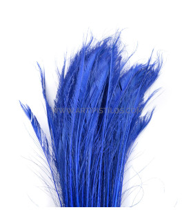 PLUME DE PAON ÉPÉE 60 CMS. DECOLORE