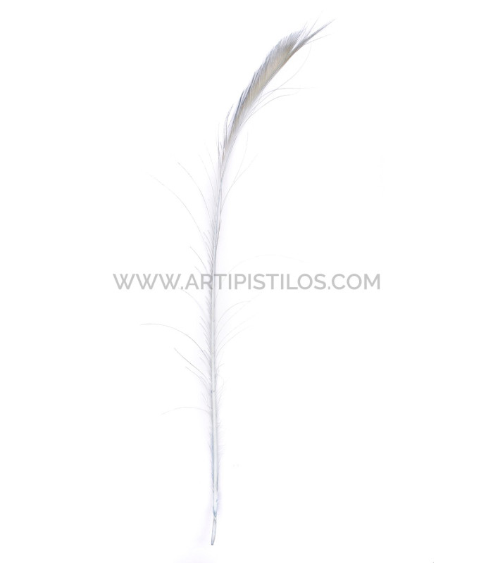 PLUME DE PAON ÉPÉE 60 CM