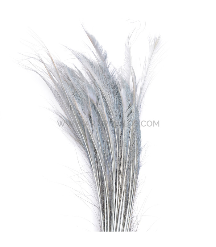 PLUME DE PAON ÉPÉE 60 CMS. DECOLORE