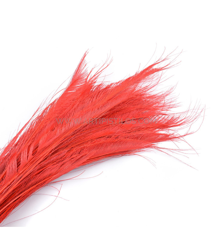 PLUME DE PAON ÉPÉE 60 CM