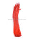 PLUME DE PAON ÉPÉE 60 CMS. DECOLORE