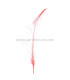 PLUME DE PAON ÉPÉE 60 CMS. DECOLORE